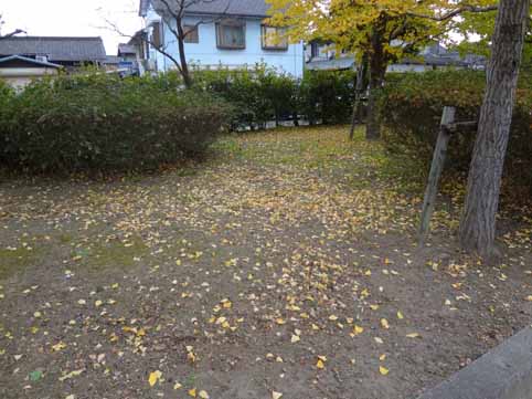 7.楓の落葉いっぱいです.jpg