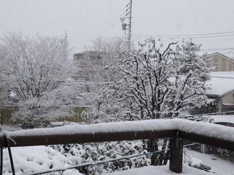 愛知県日進市の雪IA.jpg
